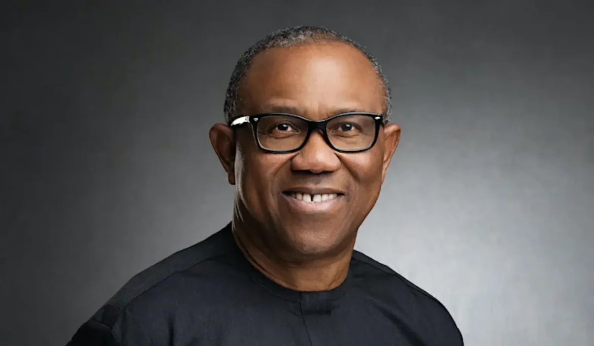 Peter Obi at a town hall event in Lagos – The Bureau News